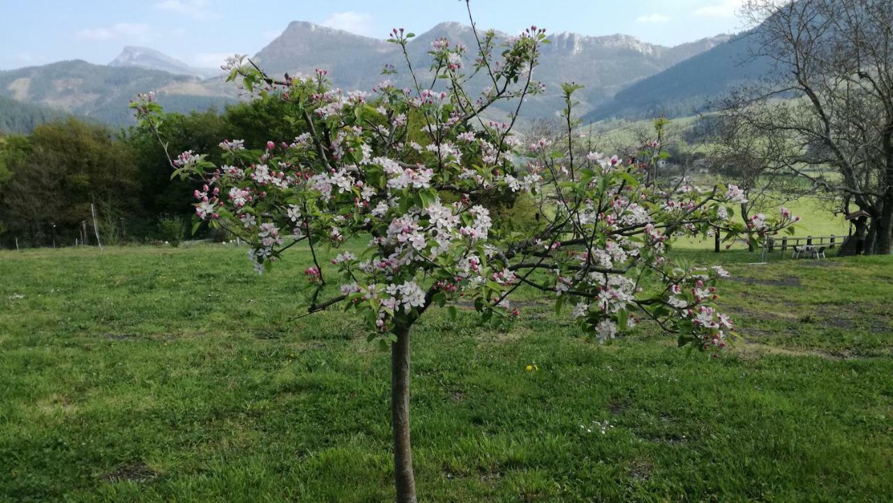 Casa Rural Urkulu Landetxea Arechavaleta ภายนอก รูปภาพ